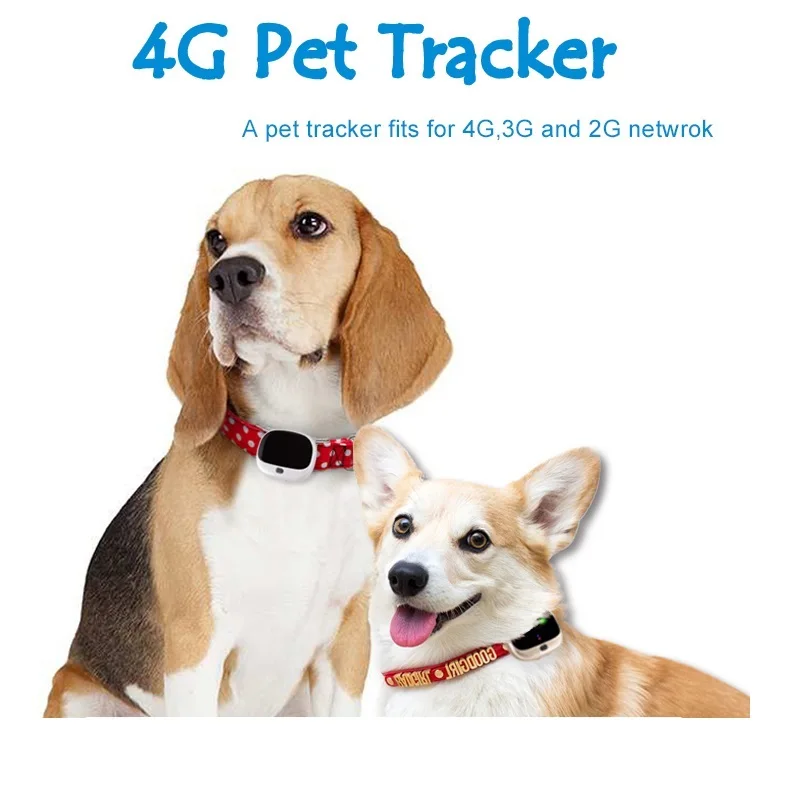 4G Pet Trackers Real-time Tracking Waterproof Accurate positioning Pet GPS Collars RYDV43 aliauto warning car sticker boat real time gps tracking link to police decals pvc sun screen waterproof 13cm 6cm