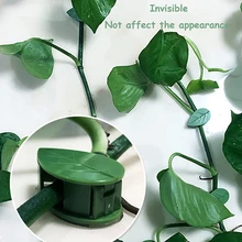 

Plant Climbing Fixture Rattan Vines Bracket Hook Garden Wall Wire Support Fixing Snap Self-Adhesive Invisible Leaf Shape Clips