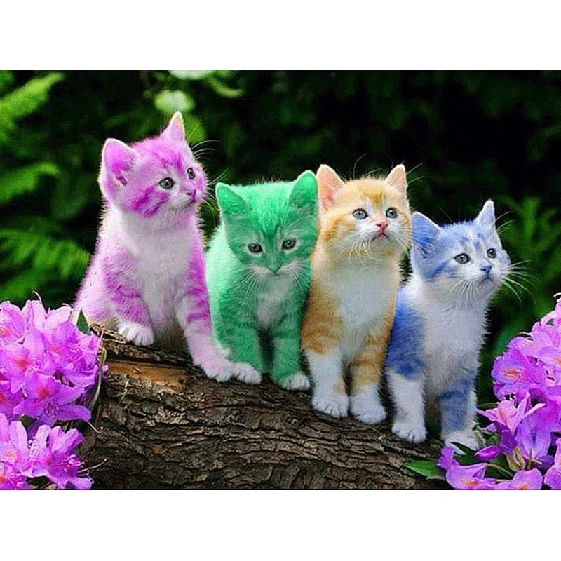 5D Diamond Painting Colorful Kitten Full Round mosaic Sale Picture Rhinestone Embroidery Cat Home Decor Dropship | Дом и сад