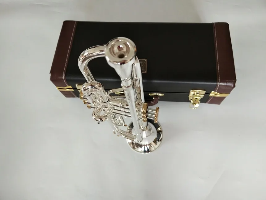 Chitarra In Miniatura Per Collezione - Modello Musicale In Legno Con Supporto E Scatola Regalo - Ornamento Da Scrigno - 2