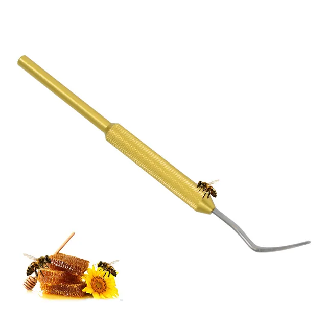 1 Százalék Méhészet Rozsdamentes Acél Lárvák Mozgó Oltó Tű Méhkirálynő Lárva Áthelyező Mozgás Férgek Méhész Professzionális Szerszám - Image 3