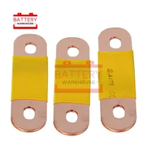 Copper Bus Bar Terminal Connectors For lithium 3.7V CALB CATL 3.2V 3.7V 12V 24v 48V lifepo4 battery 100AH 200AH 300AH 400AH Copper Bus Bar Terminal Connectors For lithium 3.7V CALB CATL 3.2V 3.7V 12V 24v 48V lifepo4 battery 100AH 200AH 300AH 400AH