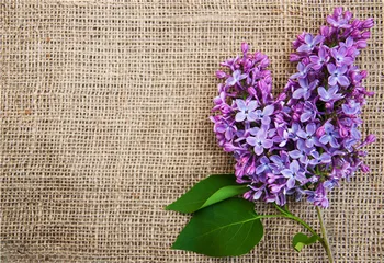 

SHENGYONGBAO Vinyl Custom Photography Backdrops Props Flower and Wood Planks theme Photo Studio Background 20212-41