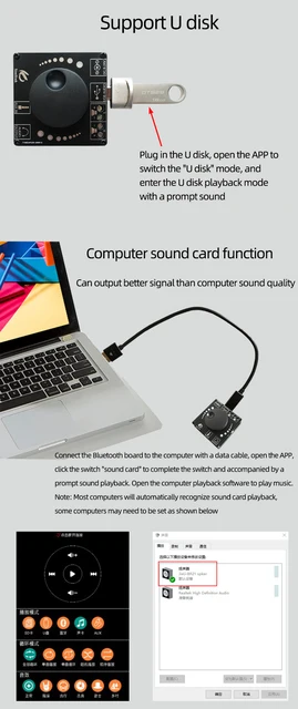 Amplificatore Bluetooth 5.0 20W+20W - Scheda Ampli Digitale Con App, Alimentazione 12V/24V