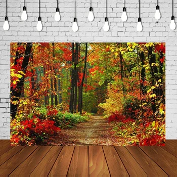 

Autumn Forest Landscape Background Fall Colors Footpath Backdrop Pleasant Woods Banner Portrait Photo Studio Wallpapers Poster