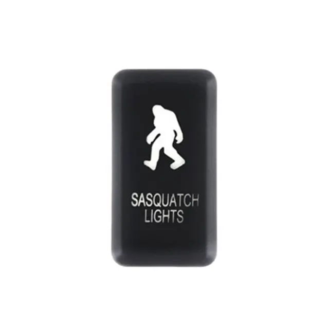 Sasquatch Light