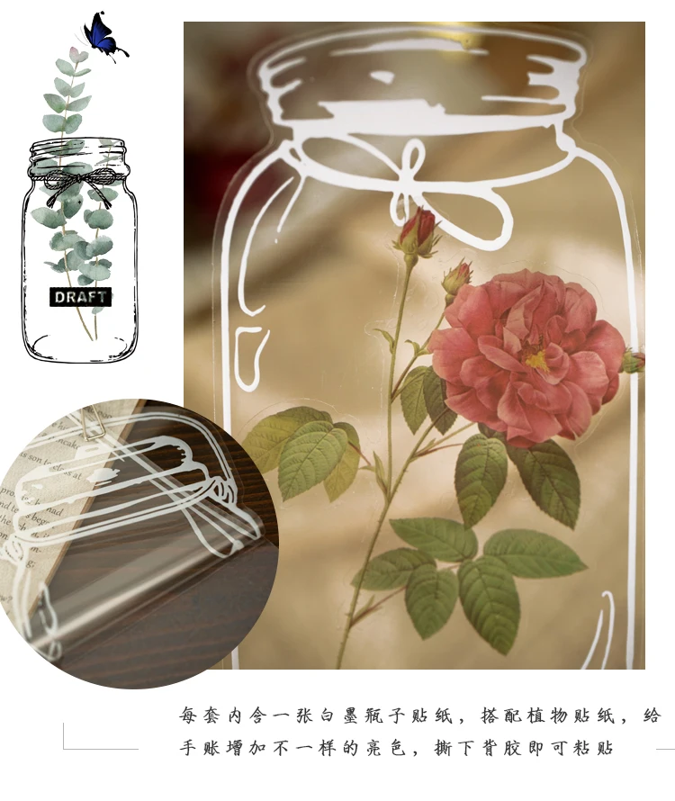 植物研究所贴纸包_10