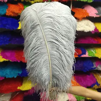 

Hot Sales 100pcs Gorgeous Gray 22-24inches/55-60cm DIY jewelry Christmas Halloween Decoration Natural ostrich feathers