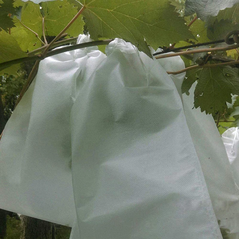 Pochettes Barrière Dentaires Jetables - Sacs De Protection Pour Films Radiographiques - Chine