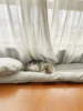 Pet Products