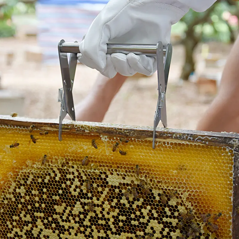 

Bee Hive Frame Holder Stainless Steel Capture Frame Grip Increase Honey Bee Tools Precise Beehive Clip Beekeeping Accessories