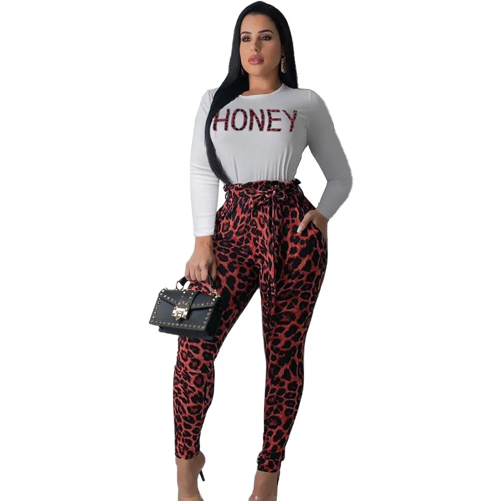 

Fall Two Piece Sets Women Casual Suits 2019 Fashion Tshirt Set Woman Long Sleeve Leopard Print Pants Suit Womens Long Pant Suit