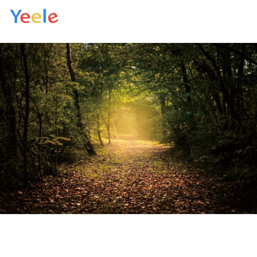 Yeele-     ̺   ,  Ʃ ǰ    