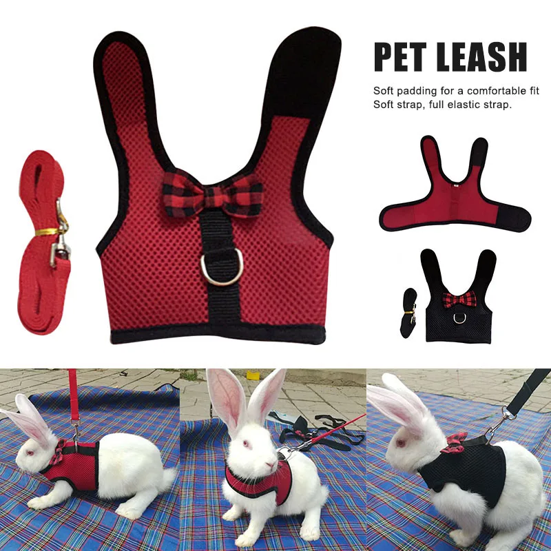 guinea pig harness and leash