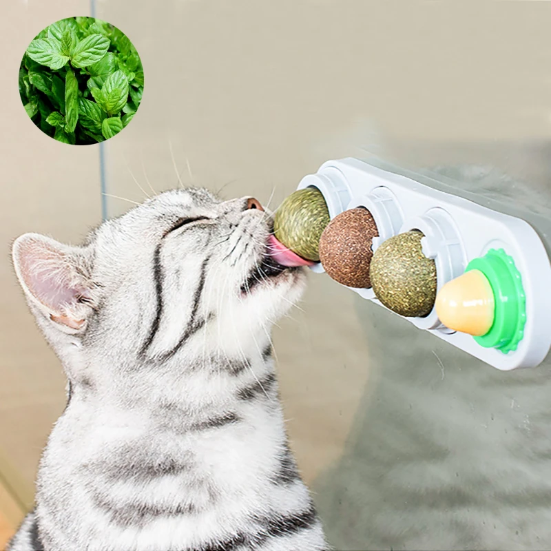 Casse Croute Sain 4 En 1 A Base De Sucre Herbe Aux Chats Bonbons A Lecher Jouet En Boule D Energie Pour Chats Et Chatons Outil D Aide A La Consommation D Eau Potable