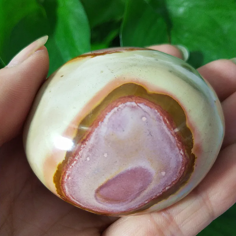 Natural stone Marine palm healing crystals Decorative collection stones and crystals Natural stone Marine palm healing crystals Decorative collection stones and crystals