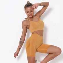 Conjunto sem costura feminino, conjunto de 2 peças de roupa esportiva, top curto, yoga, treino, academia, ioga, roupa esportiva