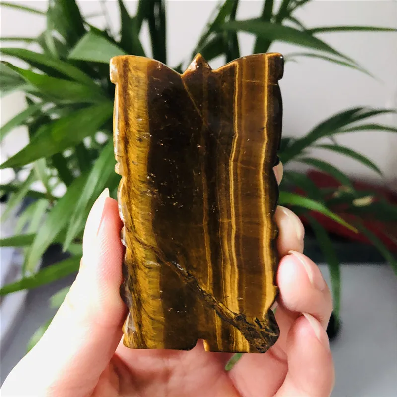 2020_07_02_17_31_IMG_3889