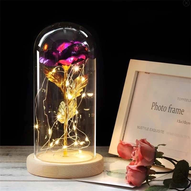 16435033564_965661761_副本