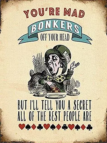 

Металлический Ретро-знак You Are Mad Bonkers 12x16