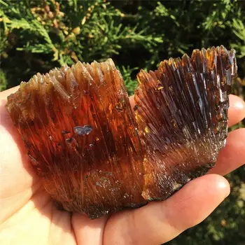 

2pcs Natural yellow amber calcite raw stone crystal gem collection of rough rock mineral specimens healing home decor