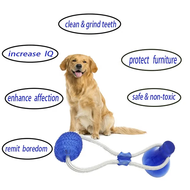 Puppies Gear Chewing Rubber with Suction Dog Toy