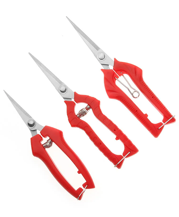 

Manufacturers Direct Selling Branch Fruit Tree Scissors Pruning Shears Picking Scissors xi guo jian Horticulture Garden Scissors