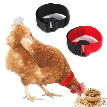 

Adjustable Chicken Collars Durable Anti-Hook Noise Free Neckband for Poultry Chicken Collars