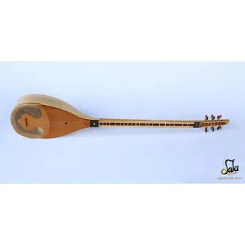 

Professional Persian Setar Shourangiz Shurangiz Surangiz