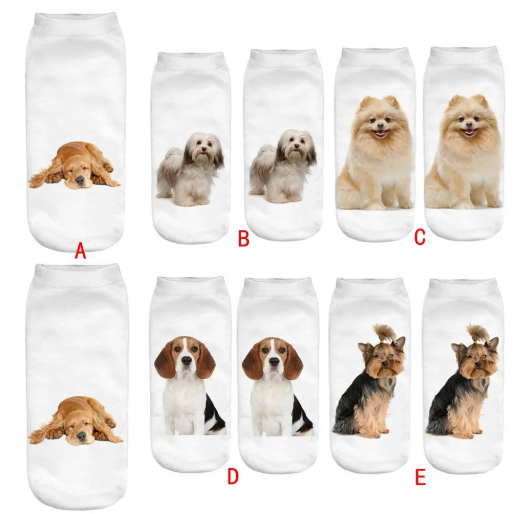 7 - YCC81130553_20181130025536914