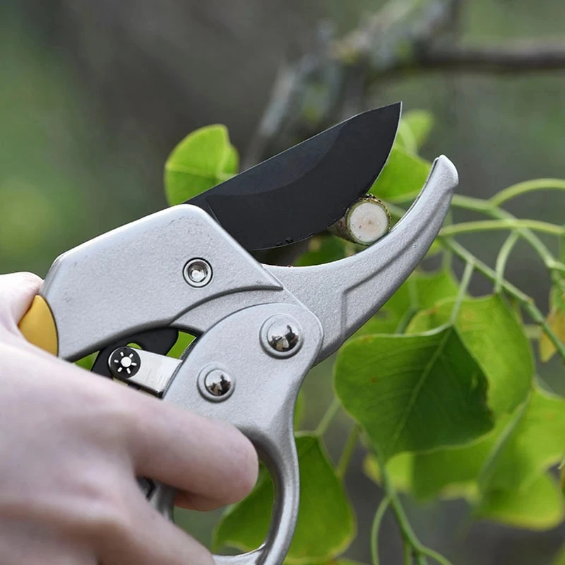 Garden-Pruning-Shear-High-Carbon-Steel-Pruning-Shears-Cutter-Gardening-Plant-Scissor-Branch-Pruner-Trimmer-Tools.jpg Kerti Metszés Nyíró Magas Szén Acél Ollóvágó Kertész Növényi Növény Olló Ág Metsző Trimmer Eszközök Új Csepphajó - Image 2