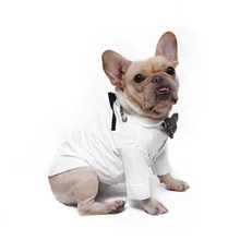 Одежда для собак, Весенняя Тонкая Клетчатая Рубашка для мопса, французский для бульдога чихуахуа, плюшевый бой, Бишон Хироми корги, одежда для маленьких собак, домашних животных