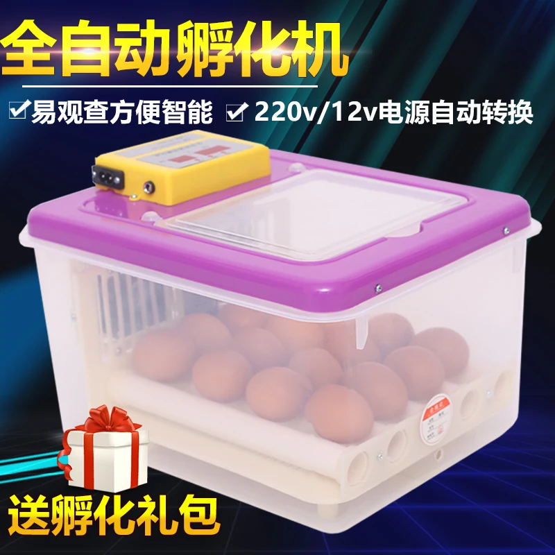 Incubator Chicken Small Household Incubator Chicken Duck Goose Smart Mini Hatcher Egg Breeding Box
