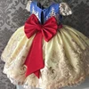 Vestido de tul para niña de 4 a 10 años, vestido de encaje de niña, elegante vestido Formal para desfile de fiesta de princesa, vestido para niña adolescente ► Foto 3/6