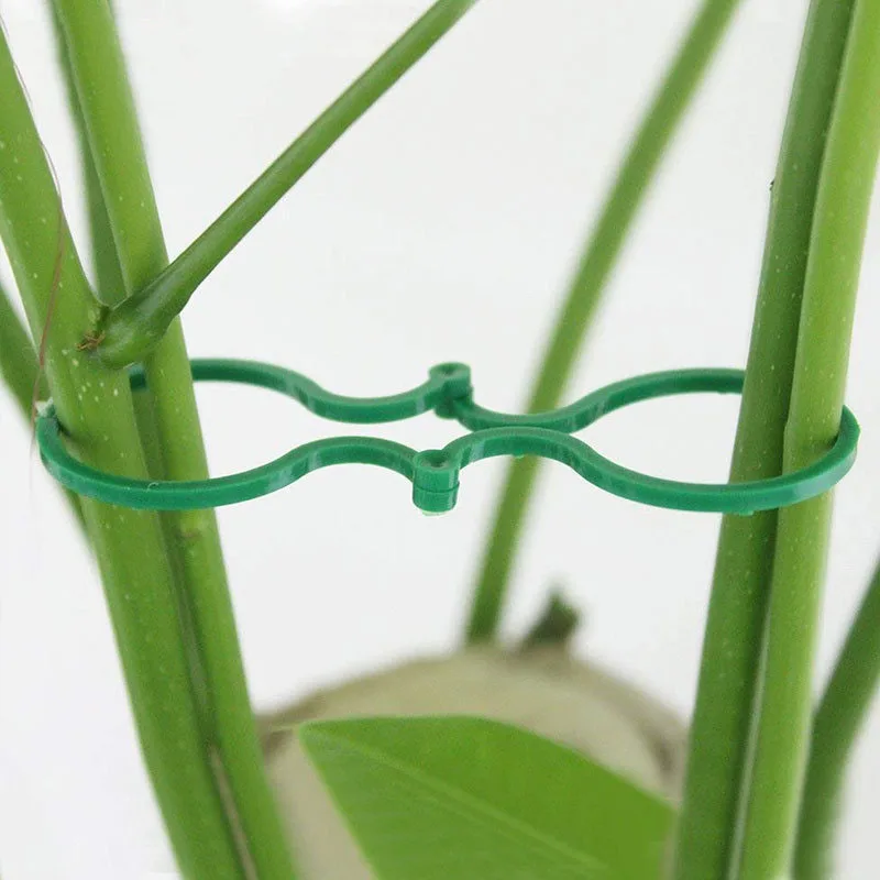 20Pcs Plant Support Garden Clips Trellis for Vine Vegetable Tomato To Grow Upright Garden Plant Stand garden tools planting