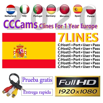 

Europe CCCam clines 1 Year Egygold server 7 lines for Spain Poland Germany DVB-S2 Satellite receiver Gtmedia v9 super V8 NOVA