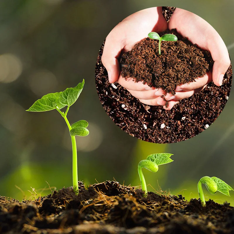 11808809369_1732935345