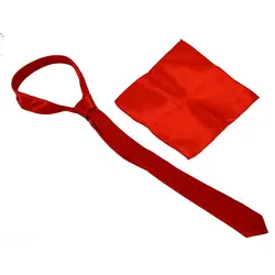 Ежедневный галстук унисекс и атласный носовой платок 8,5 дюйма-красный