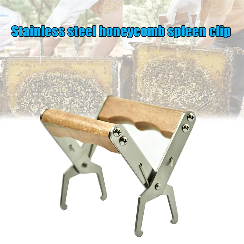 

Wooden Handle Spleen Clip Stainless Steel Solid Wood Nest Frame Clip Nest Bee Tool ALS88