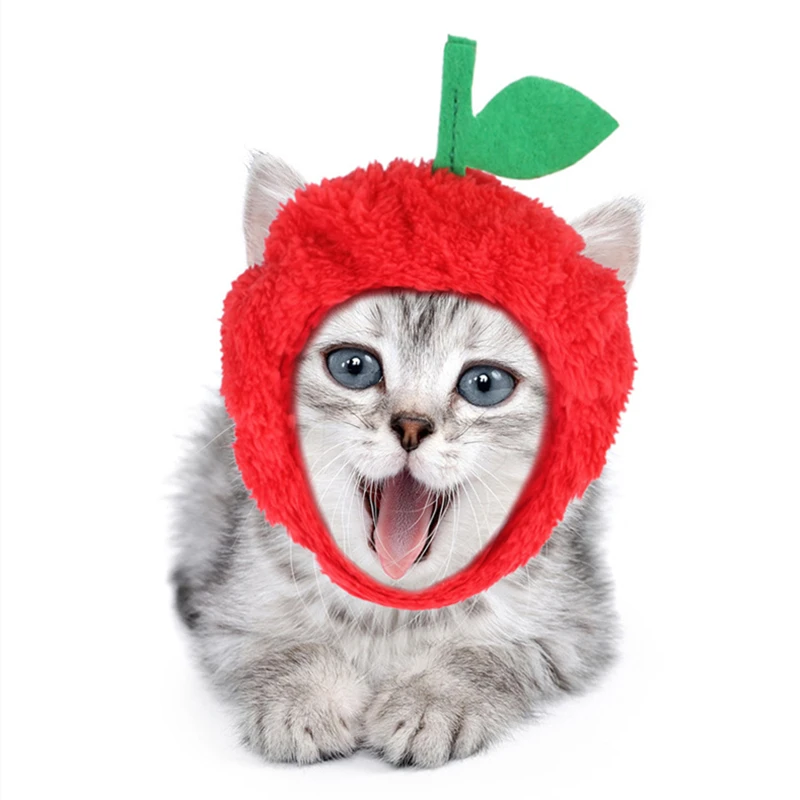 Забавные аксессуары для кошек питомцев Apple ананас кролик котенка Невероятно милые домашние тапочки