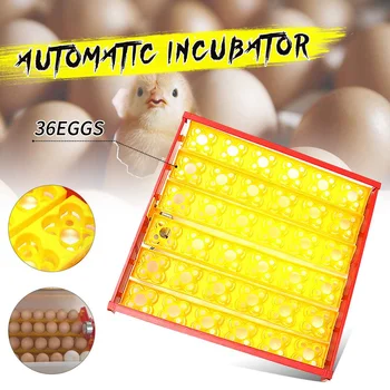 

220V 36 Eggs Incubator Turn Tray Poultry Incubation Equipment Chickens Ducks And Other Poultry Incubator Automatically Turn Eggs