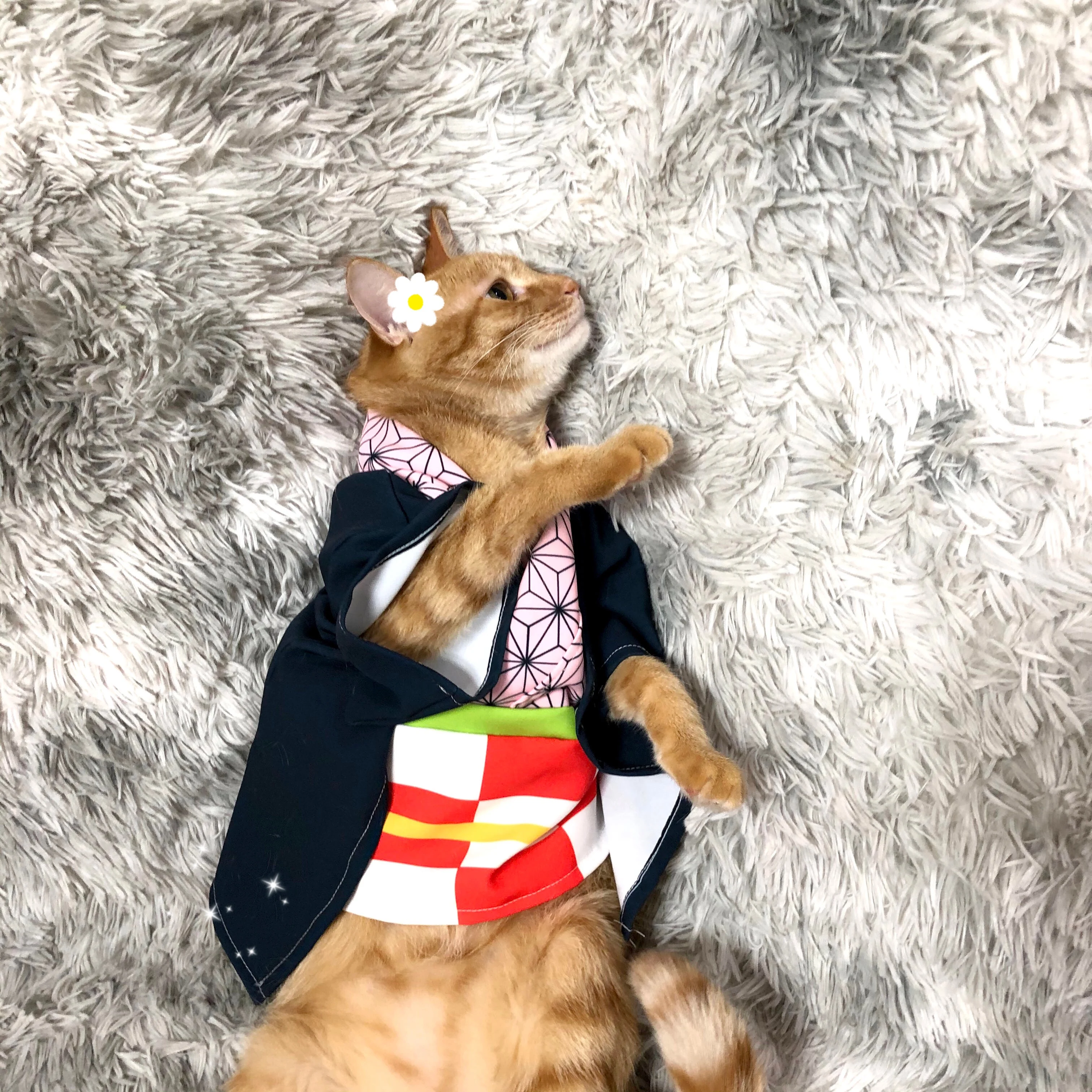 Демон убийца Kimetsu без Yaiba кошки камадо Tanjirou Косплэй накидка костюмы полные комплекты Agatsuma Zenitsu оранжевый костюм-накидка костюмы