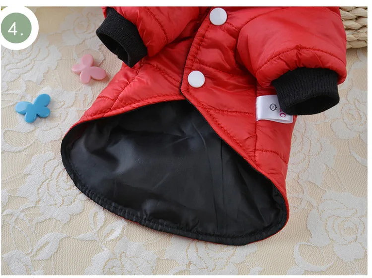 12147240209_1368698927