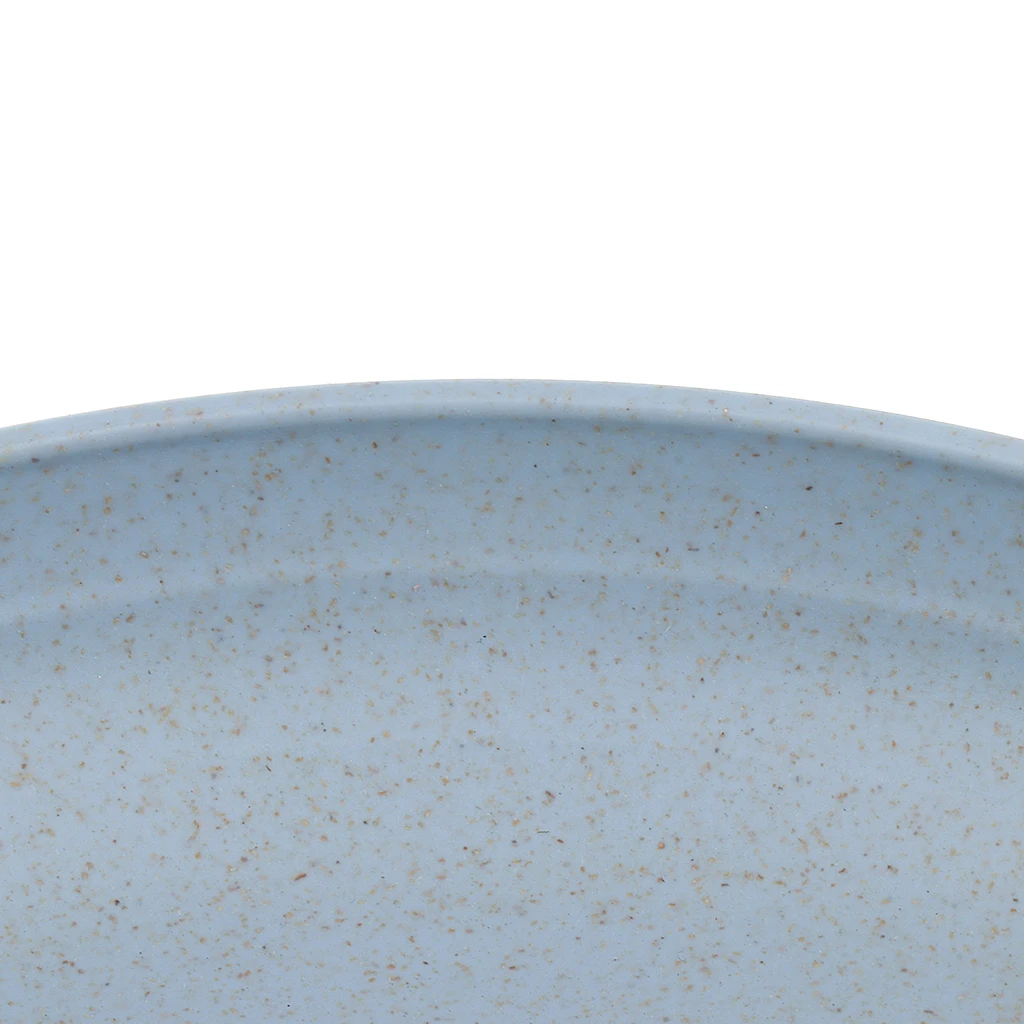 Round Tray Dinner Plate Dishes Food Snacks Sushi Steak Food Dessert Lunch Container Outdoors Camping Plate