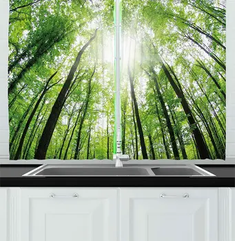 

Brown Fern Nature Kitchen Curtains Upward Tree Forest View Morning Sun Reflecting Inspirational Image for Kitchen Cafe Decor