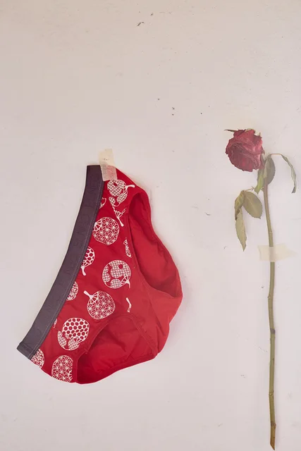 Fan Sweet Sexy Red Skull Print Women Underwear Comfortable Cotton