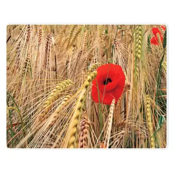 

HommomH Blanket Soft Comfort lightweight well made Nap Sofa Bed Travel Warm Plush Throw Red Corn Poppy Among Yellow Wheat