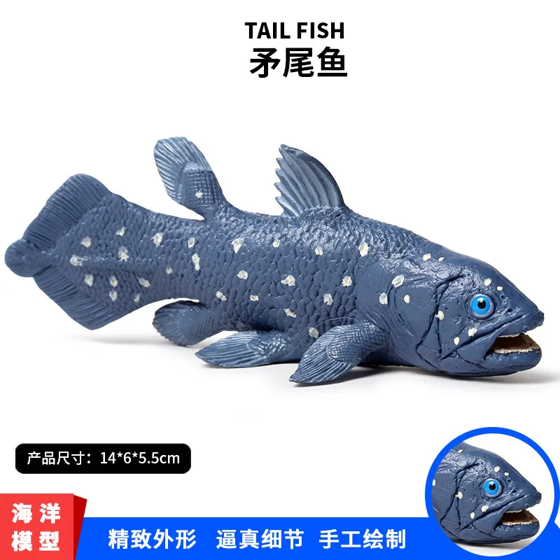 

Solid Model Oceans Animal Model Ancient Prehistoric Seabed Biological Latimeria Chalumnae Model Toy Decoration