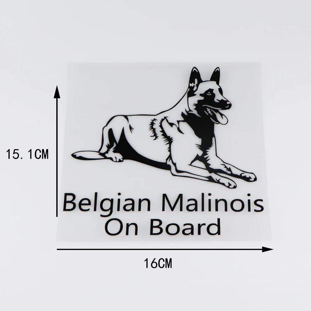 YOJA 16X15.1CM Belgian Shepherd Malinois на доске Виниловая Наклейка Декор автомобиля стикер ZT2