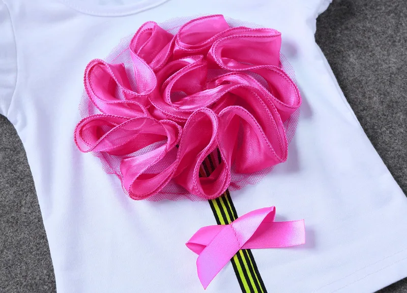 4111635909_1442301246